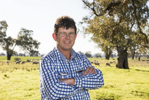 Mudgee Livestock Marketing Expert