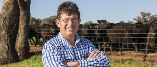 Chris with some Mudgee Cattle